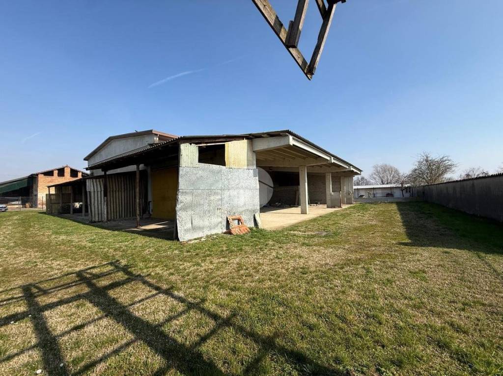 immagine annuncio 3 di 15