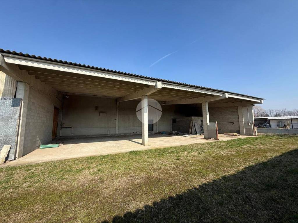 immagine annuncio 5 di 15