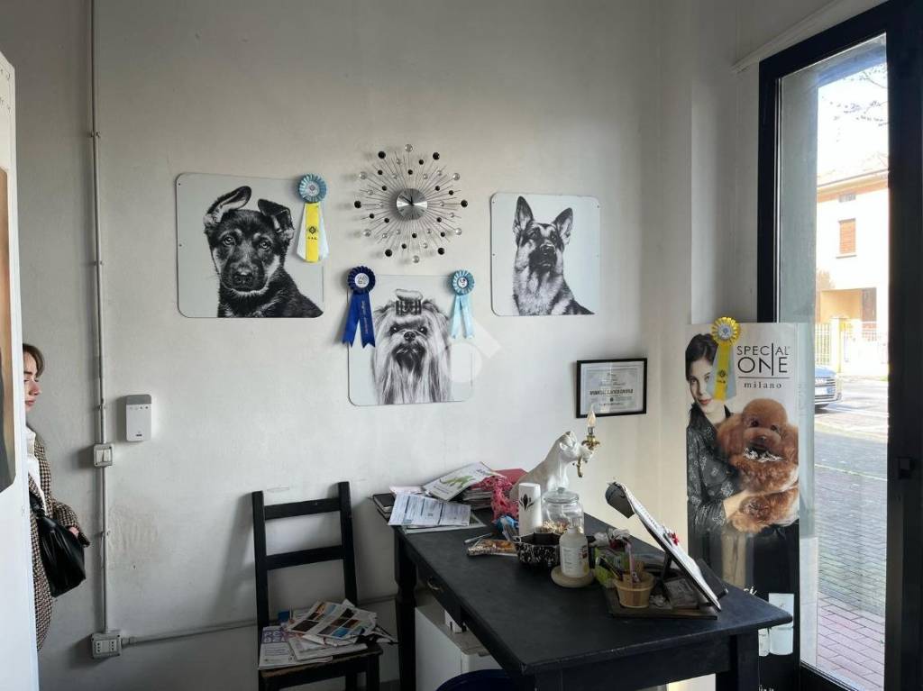 immagine annuncio 1 di 9