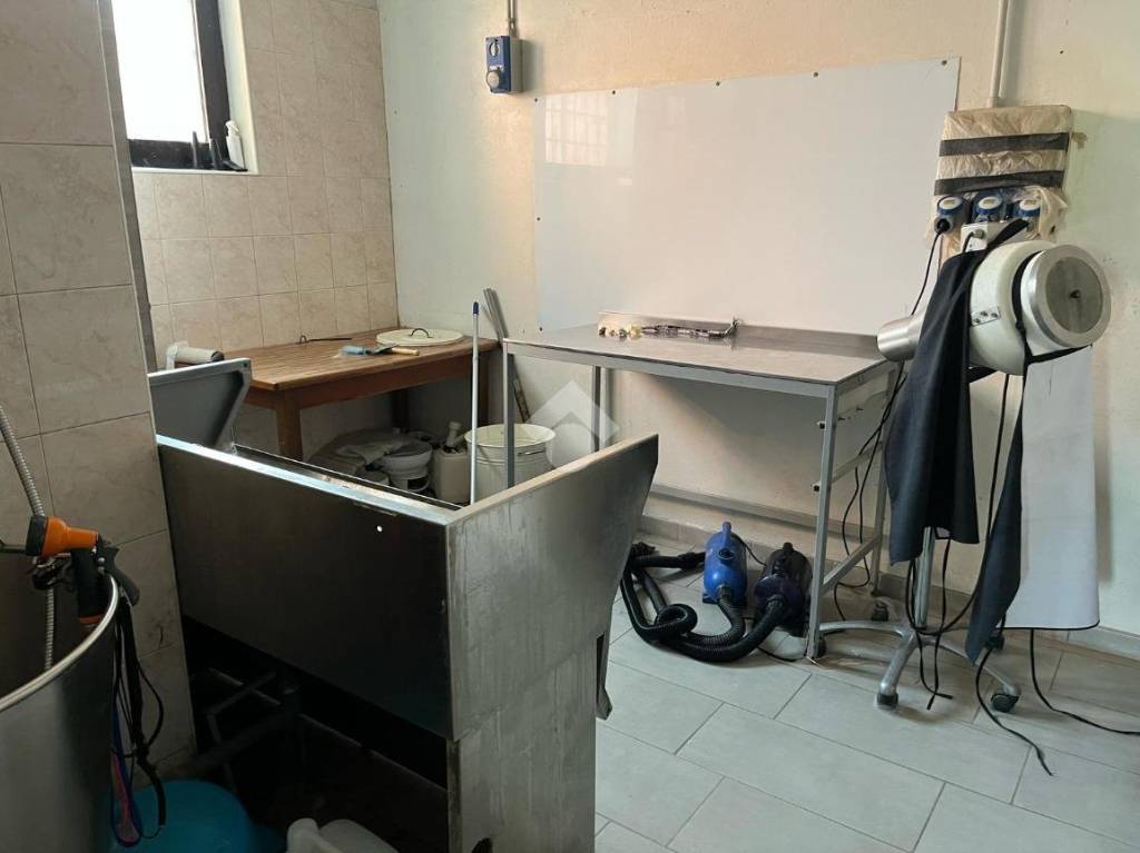 immagine annuncio 6 di 9