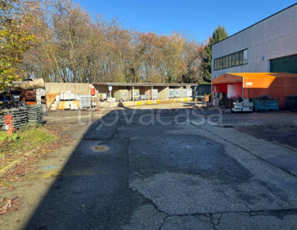 immagine annuncio 6 di 11