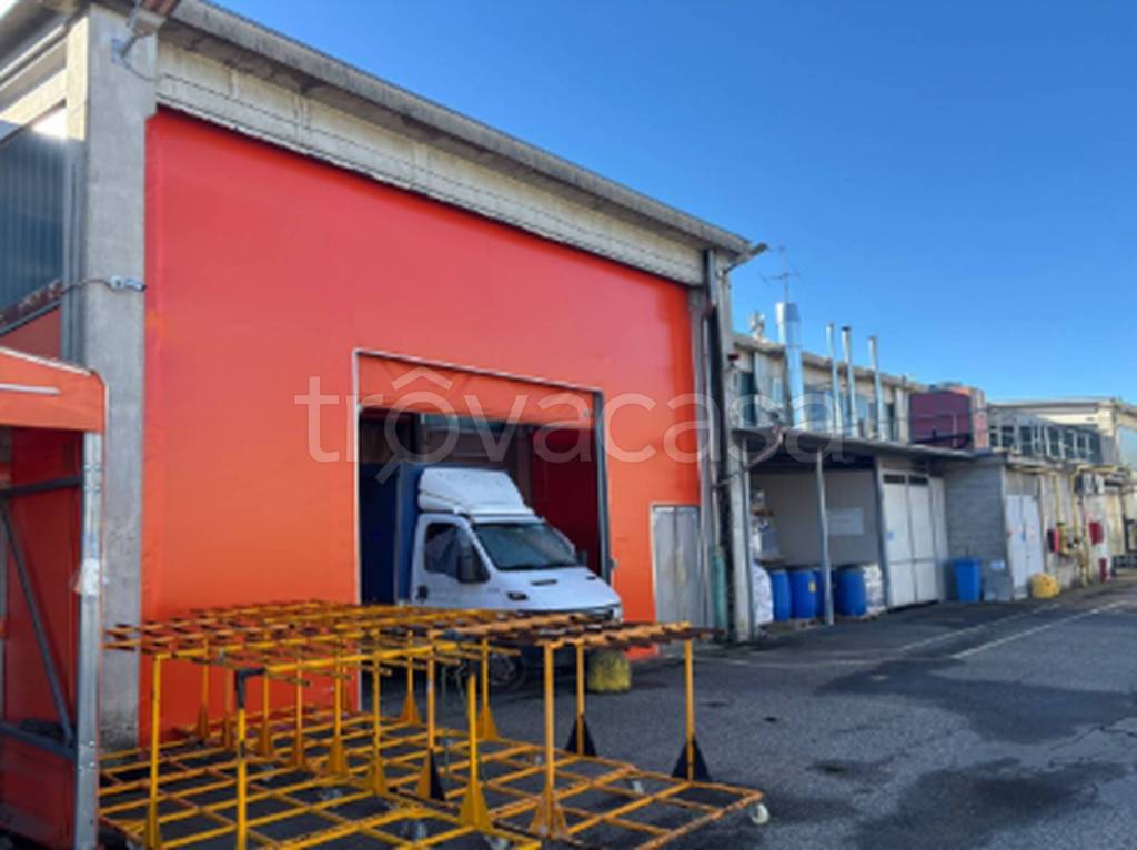 immagine annuncio 1 di 11