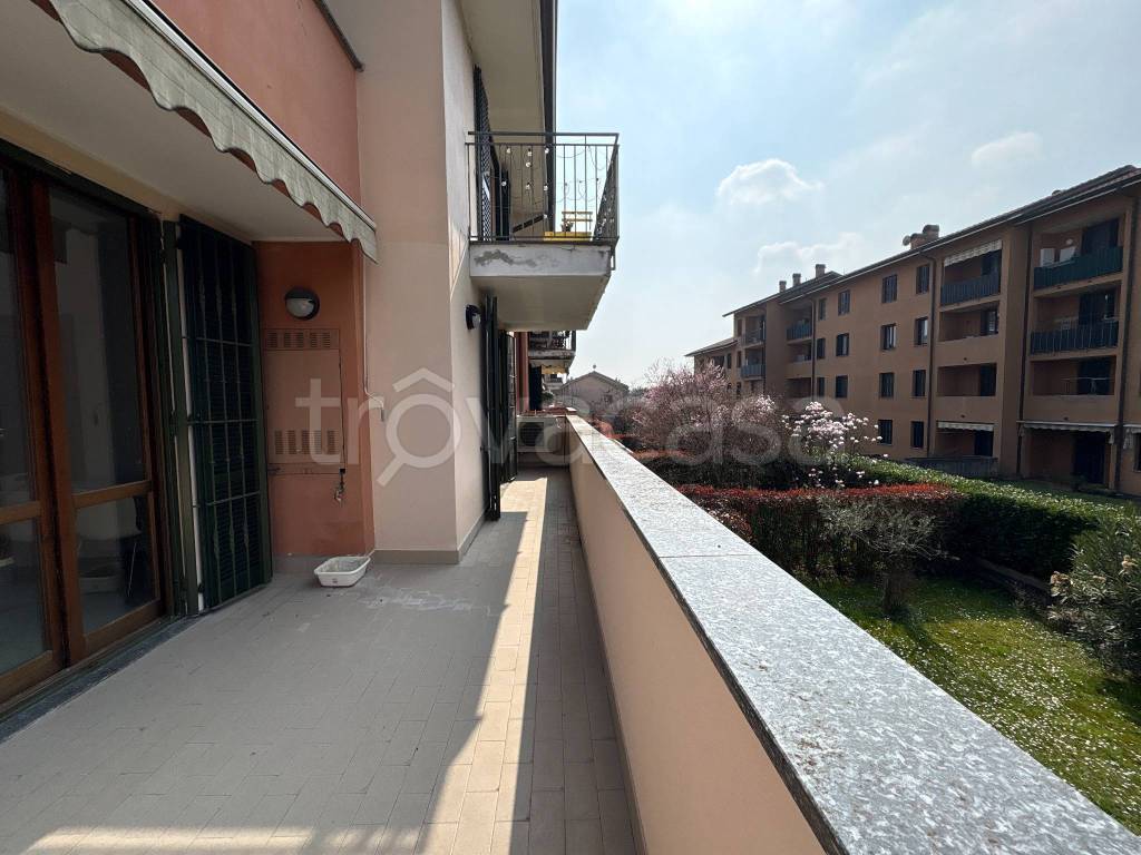 immagine annuncio 9 di 15