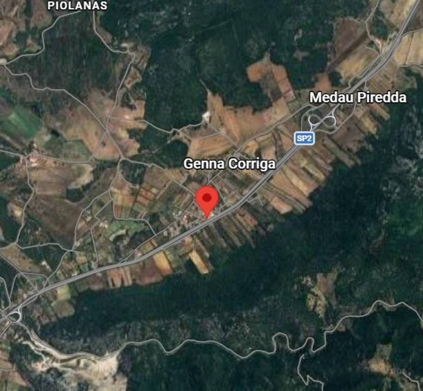 immagine annuncio 6 di 11