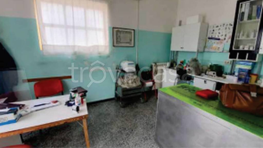 immagine annuncio 3 di 11