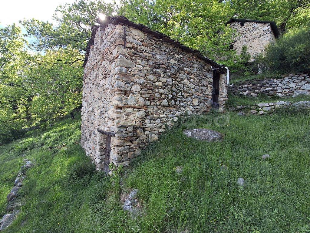 immagine annuncio 3 di 8
