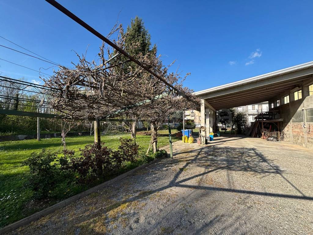 immagine annuncio 4 di 15