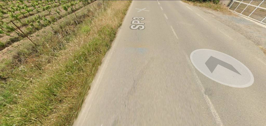 immagine annuncio 3 di 11