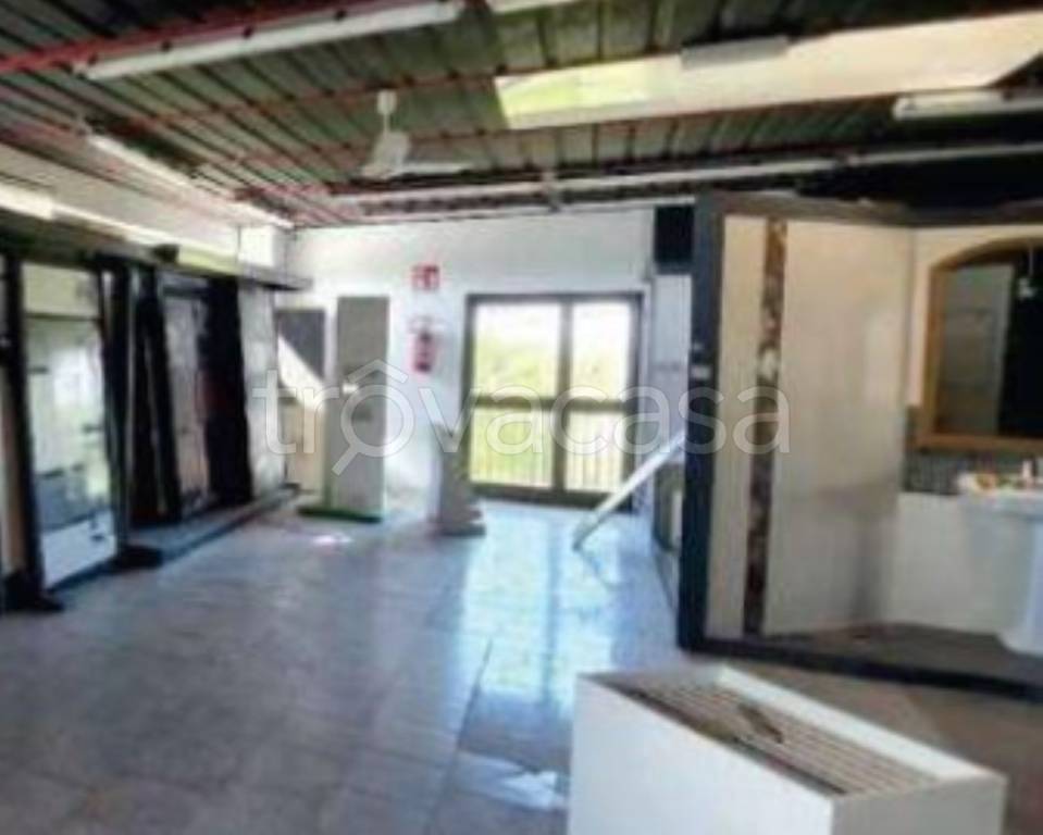 immagine annuncio 7 di 12