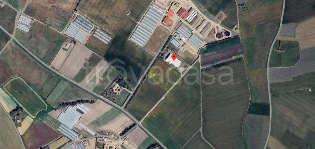 immagine annuncio 9 di 11