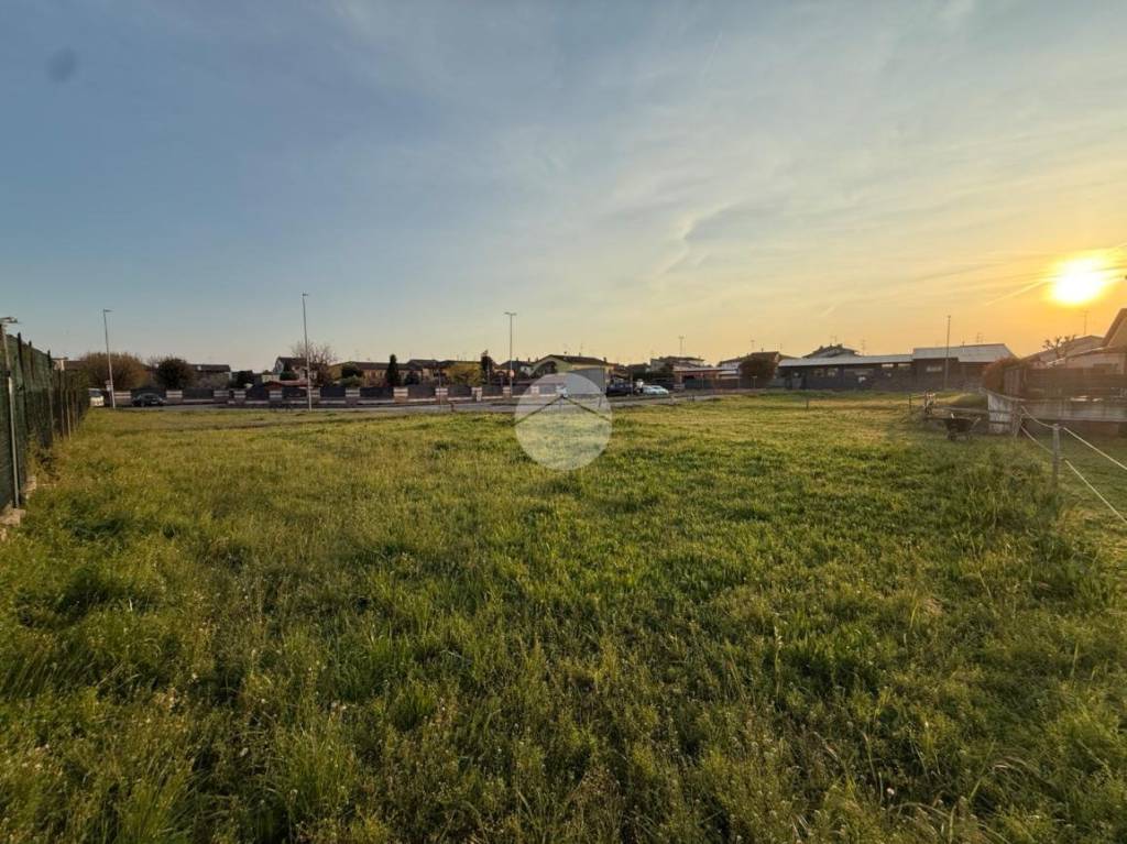 immagine annuncio 1 di 8