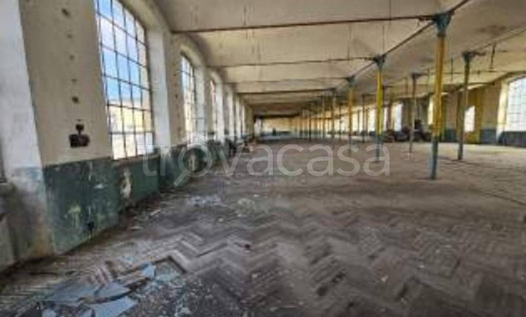 immagine annuncio 5 di 11