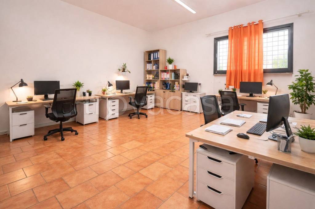 immagine annuncio 2 di 4