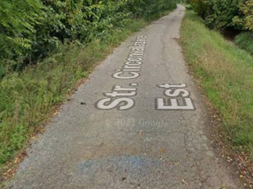 immagine annuncio 7 di 12