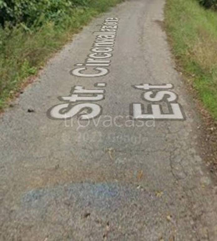 immagine annuncio 8 di 12