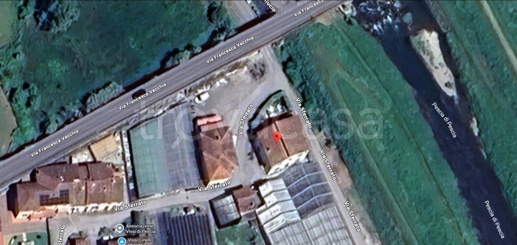 immagine annuncio 9 di 11