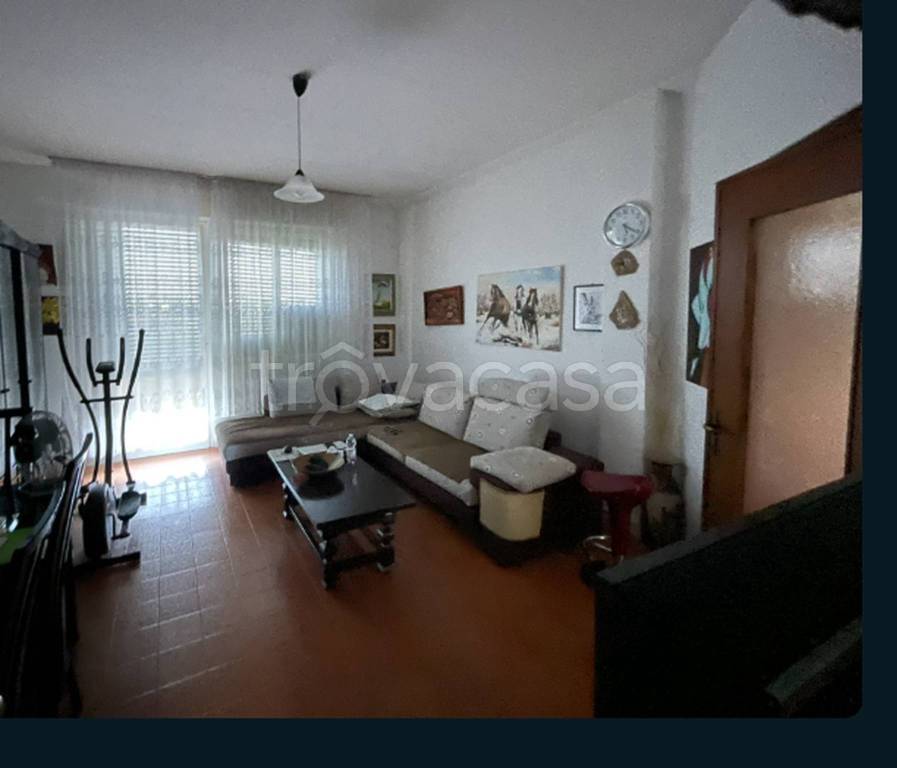 immagine annuncio 2 di 7