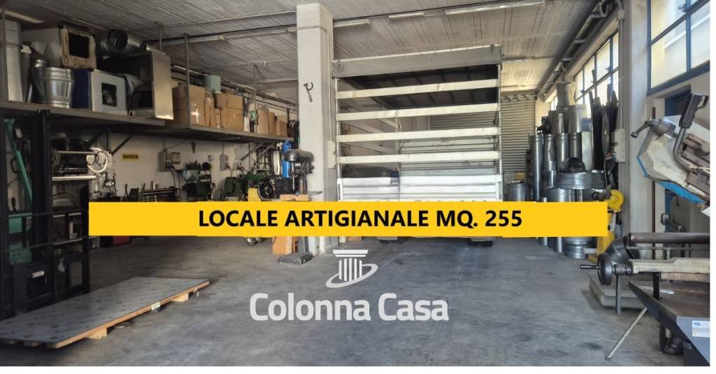 immagine annuncio 4 di 7