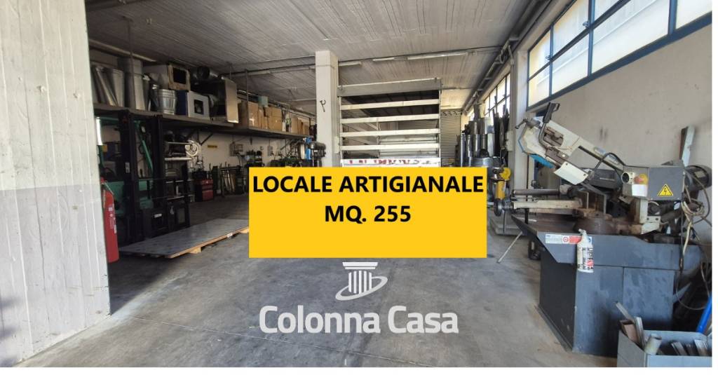 immagine annuncio 5 di 7