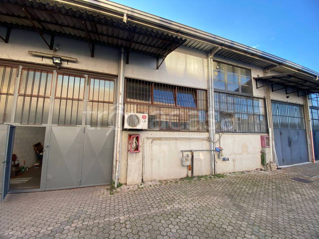 immagine annuncio 3 di 15