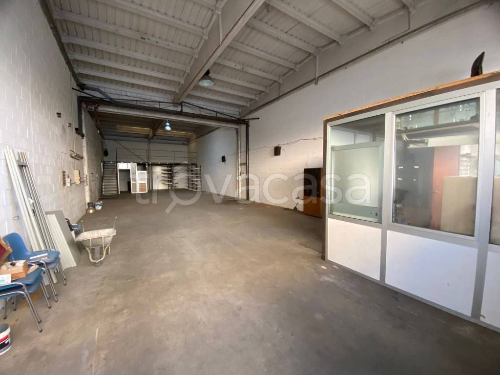 immagine annuncio 5 di 15