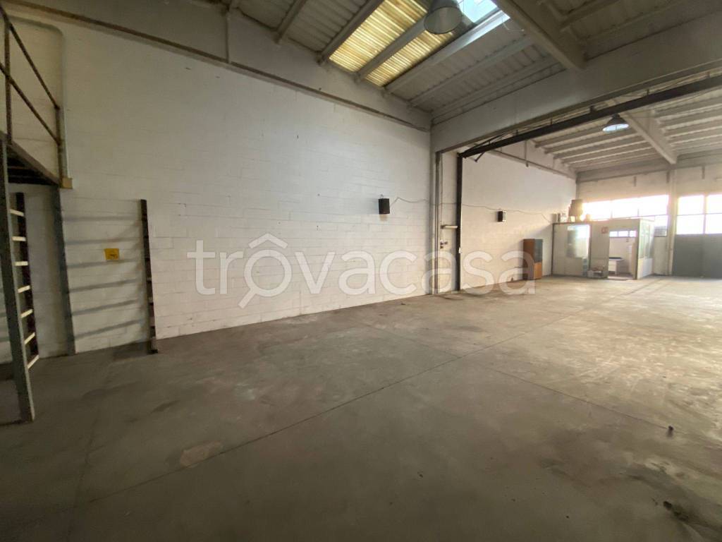 immagine annuncio 9 di 15