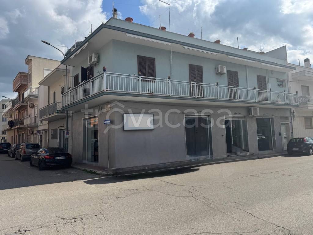 immagine annuncio 1 di 7