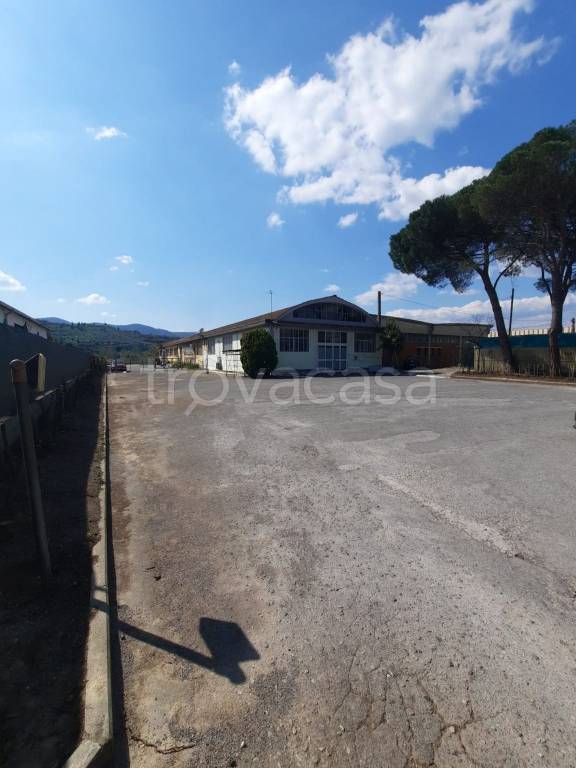 immagine annuncio 2 di 6