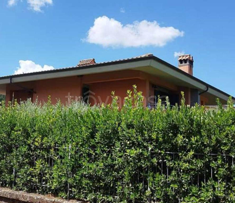 immagine annuncio 5 di 11