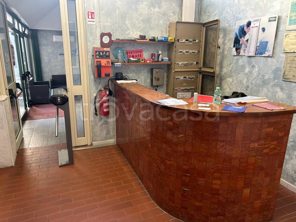 immagine annuncio 5 di 15