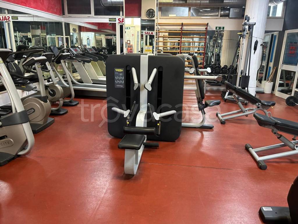 immagine annuncio 11 di 15