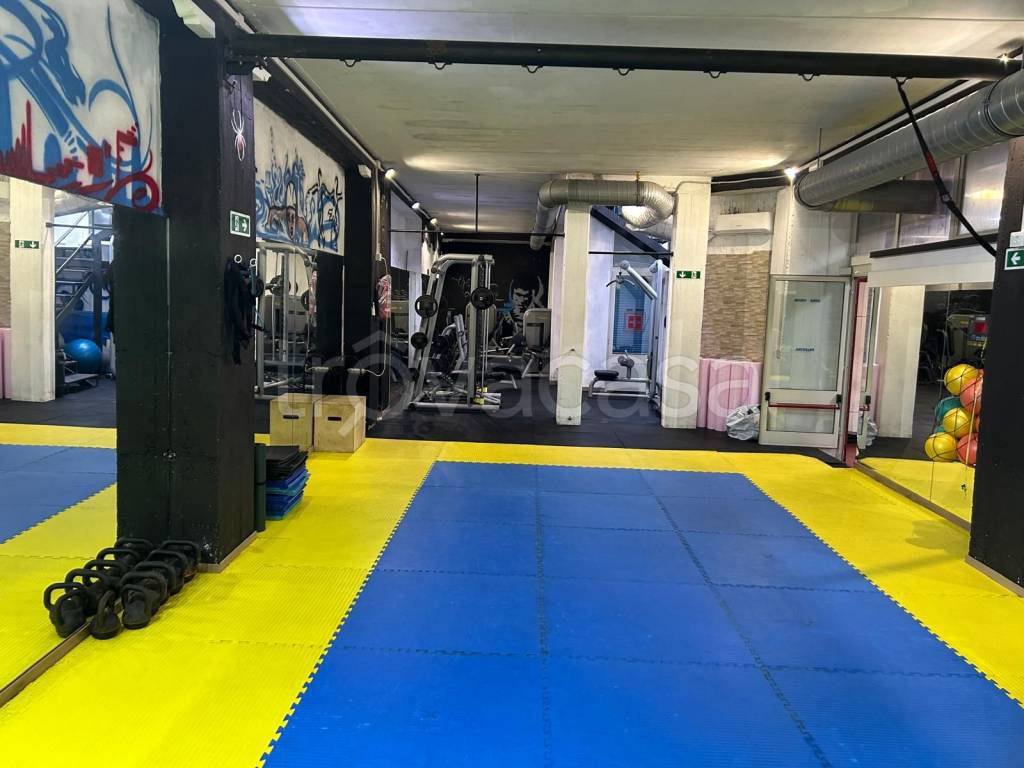 immagine annuncio 13 di 15