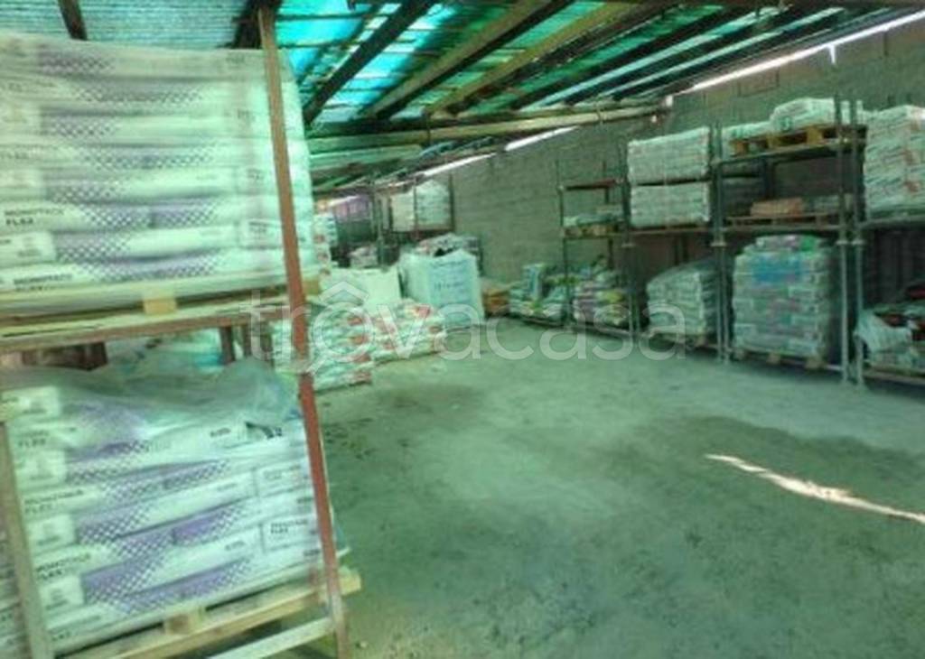 immagine annuncio 5 di 11