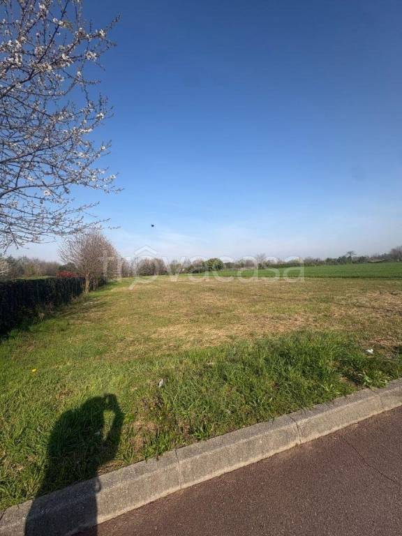 immagine annuncio 1 di 7