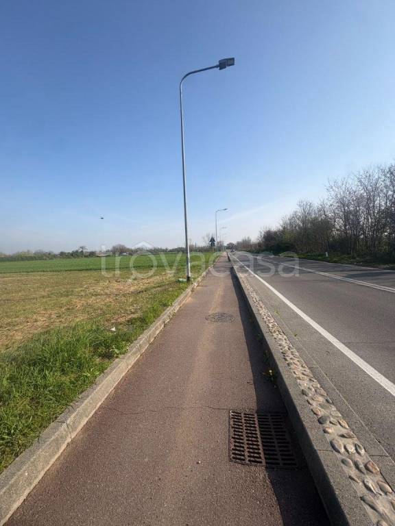 immagine annuncio 5 di 7