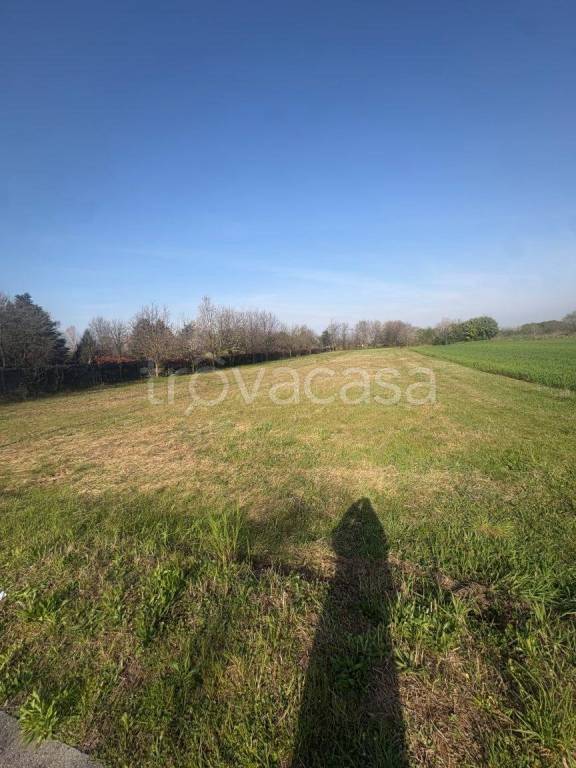 immagine annuncio 3 di 7