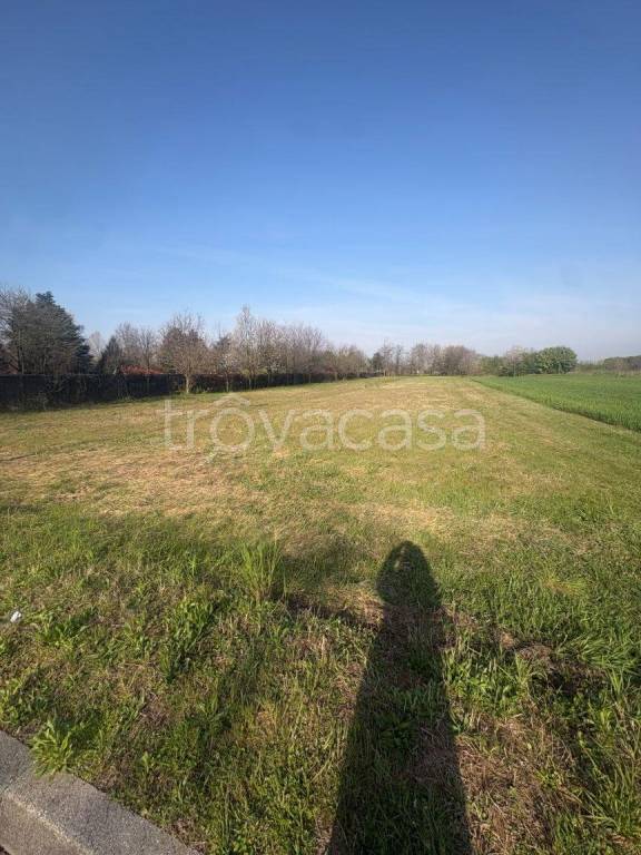 immagine annuncio 4 di 7