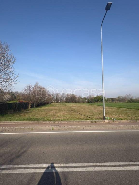 immagine annuncio 6 di 7