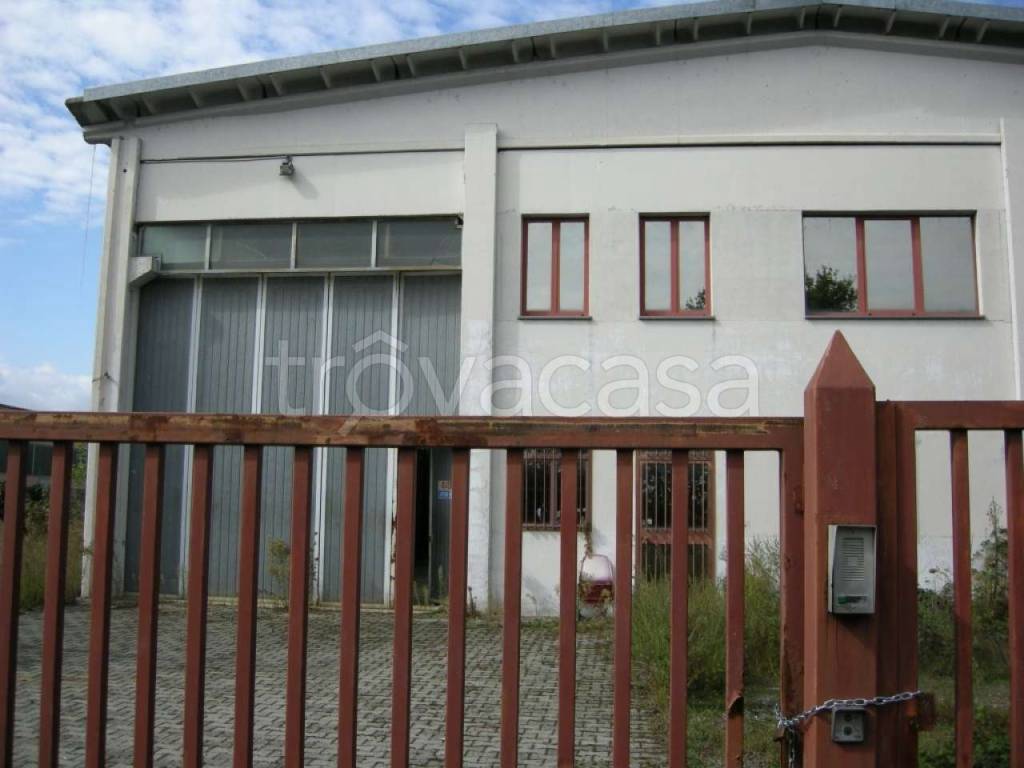 immagine annuncio 1 di 14