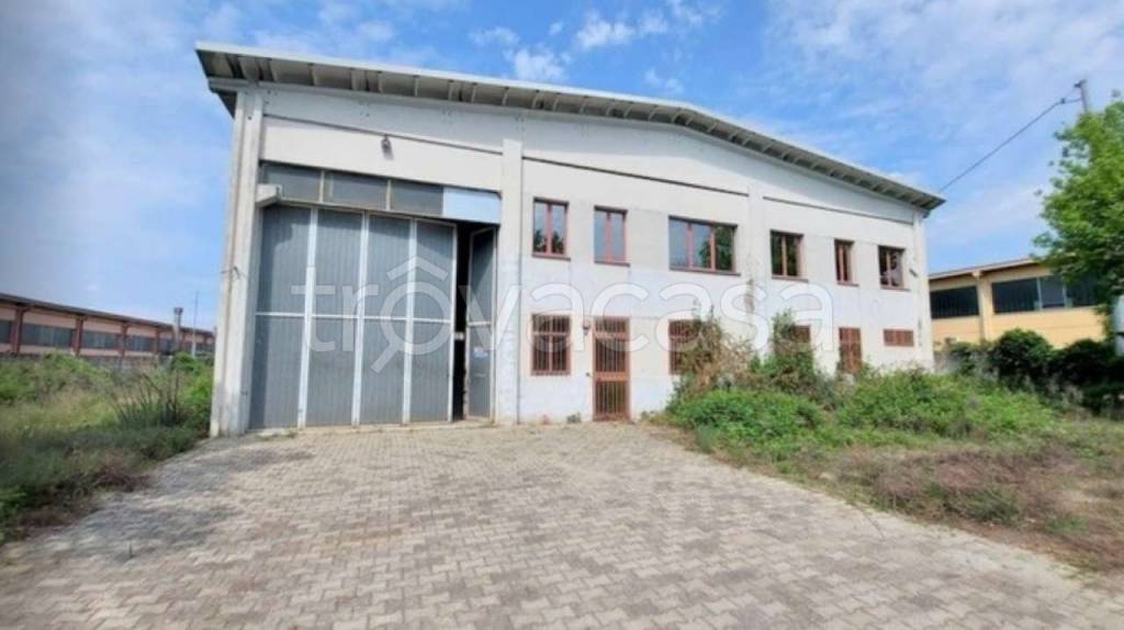 immagine annuncio 2 di 14