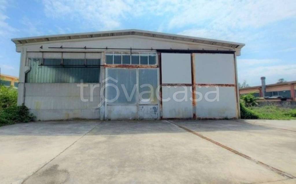 immagine annuncio 4 di 14