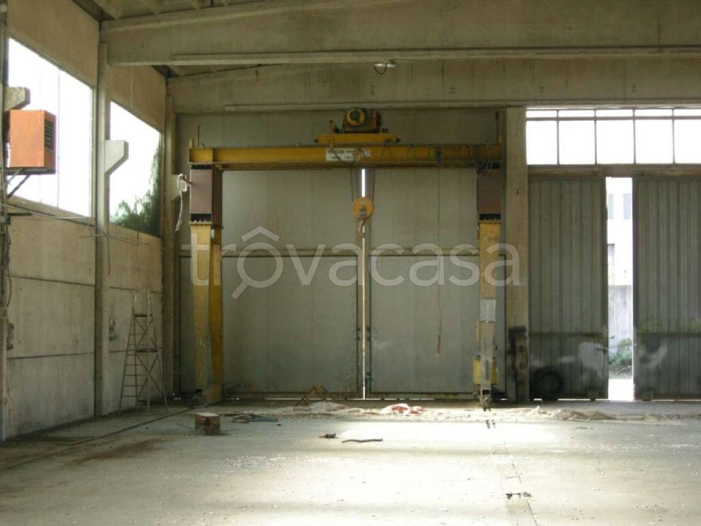 immagine annuncio 5 di 14