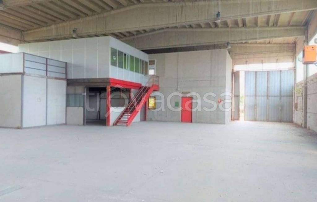 immagine annuncio 7 di 14