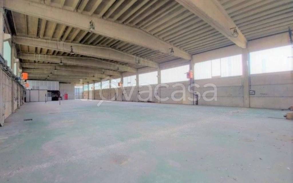 immagine annuncio 8 di 14