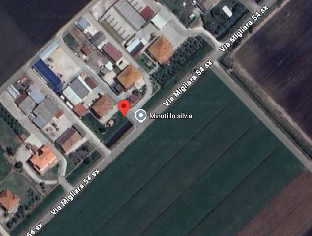 immagine annuncio 5 di 10