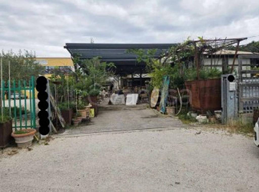 immagine annuncio 4 di 13