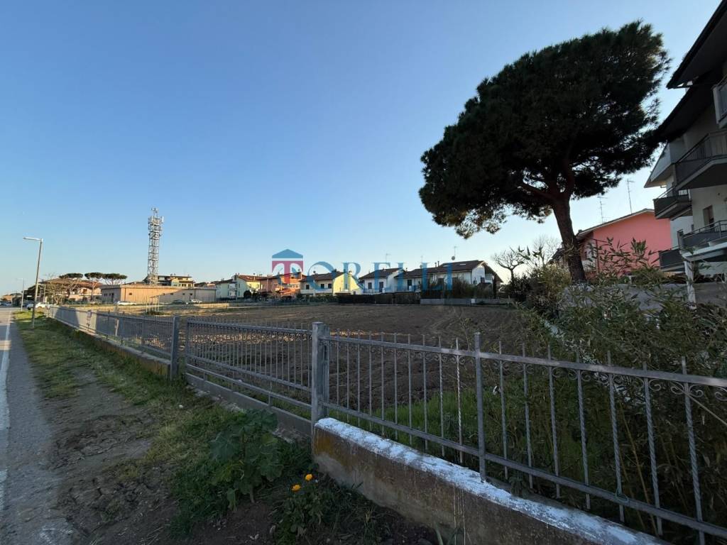 immagine annuncio 3 di 7