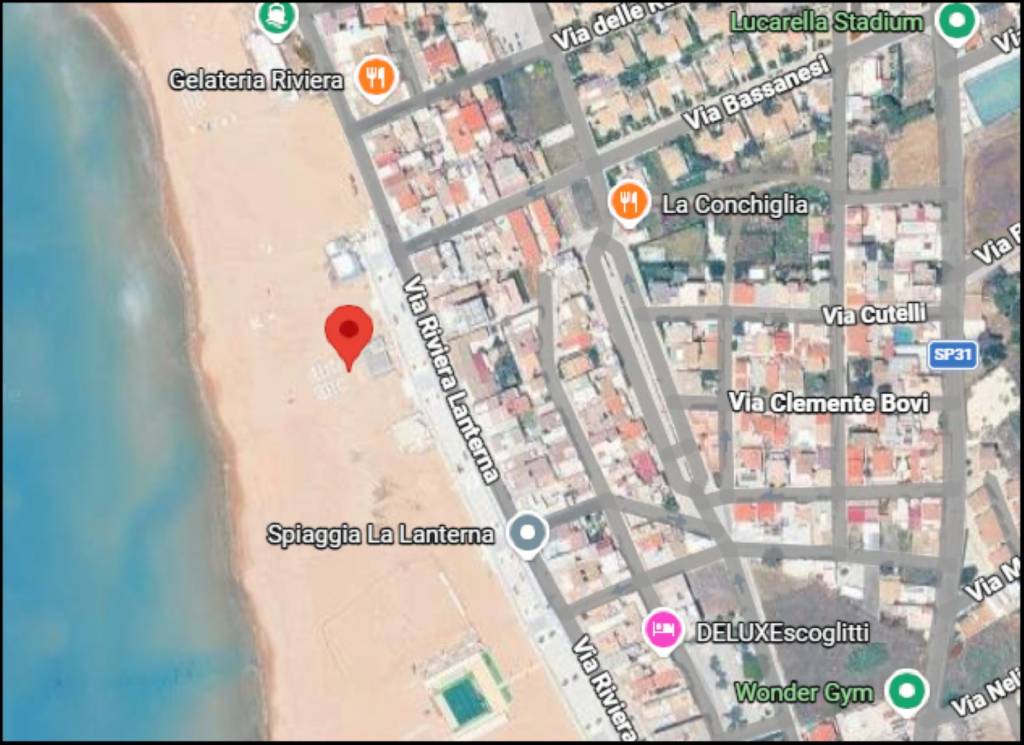 immagine annuncio 11 di 12