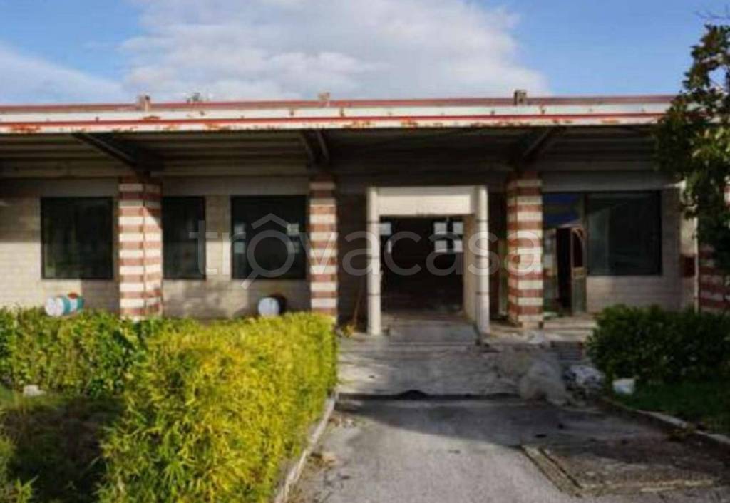 immagine annuncio 2 di 11