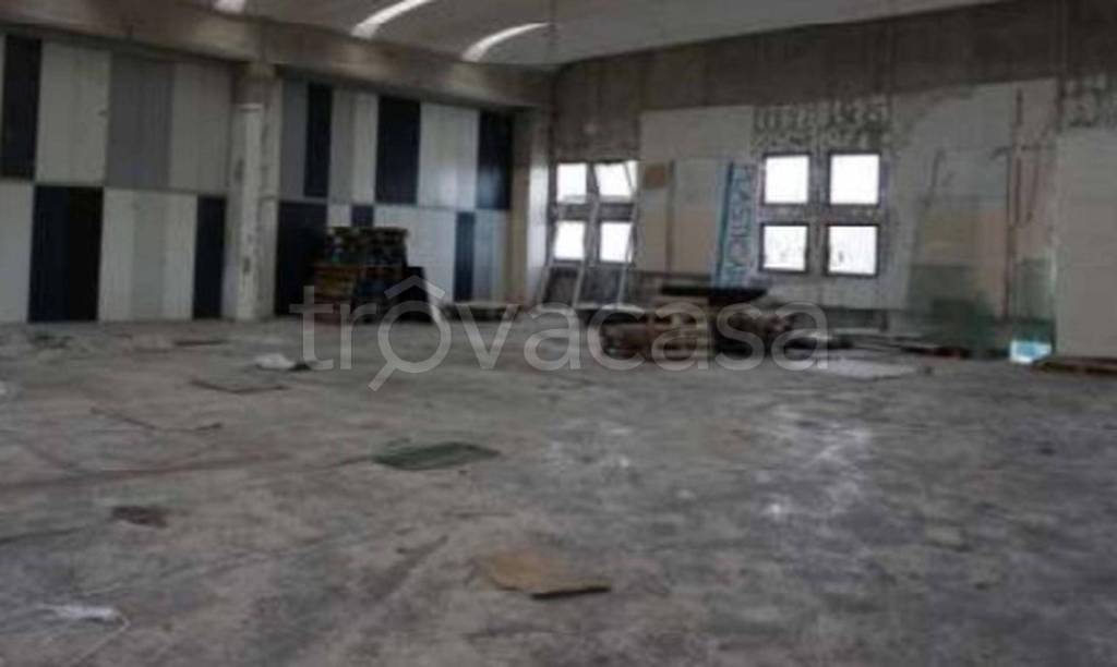 immagine annuncio 5 di 11